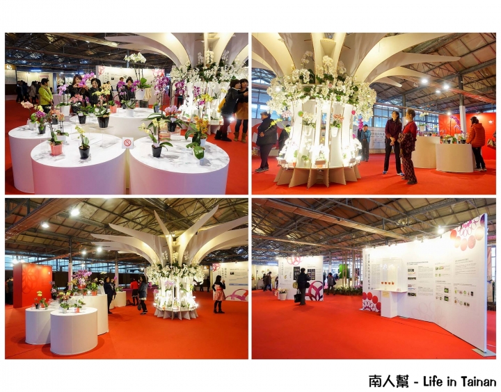 【台南市後壁區-展覽】期間限定賞蘭花~~2016臺灣國際蘭展(至03月21日)