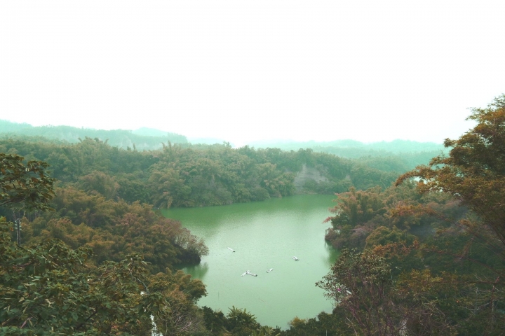 【台南六甲】『夢之湖』私房景點♡臥虎藏龍般的竹林秘境倒映著湖光水色
