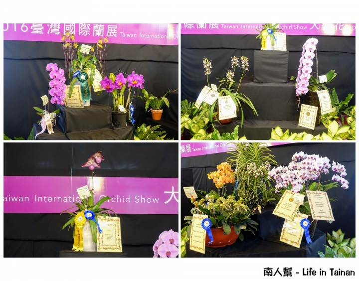 【台南市後壁區-展覽】期間限定賞蘭花~~2016臺灣國際蘭展(至03月21日)