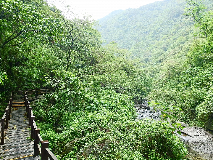 來涼山瀑布吧!油桐花兒開開正漂亮!