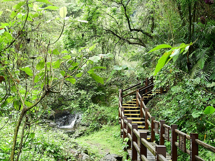 來涼山瀑布吧!油桐花兒開開正漂亮!