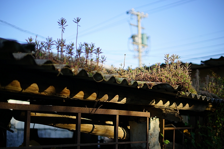 FE首顆平價大光圈鏡頭登場‧Sony FE 50mm f/1.8