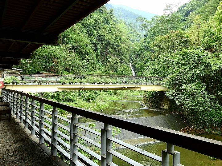 來涼山瀑布吧!油桐花兒開開正漂亮!