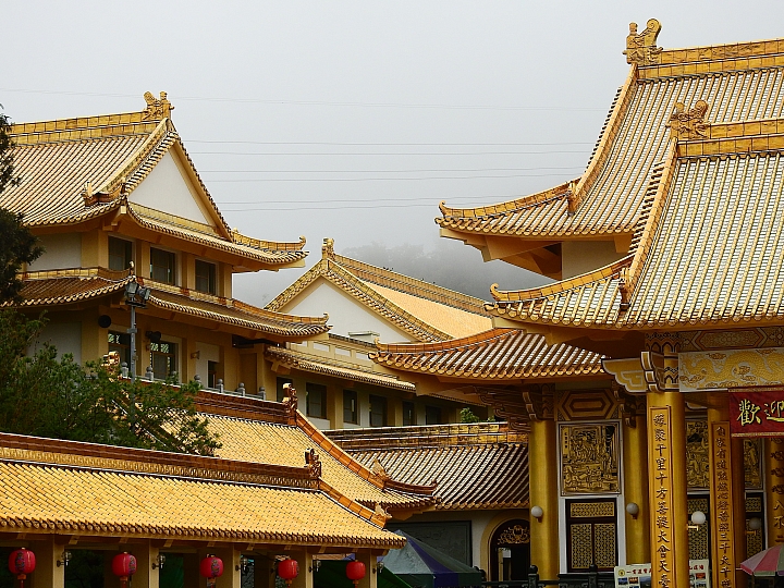 泰國櫻花花旗木,桃花陣雨綻放六龜天台山黃金寶殿。