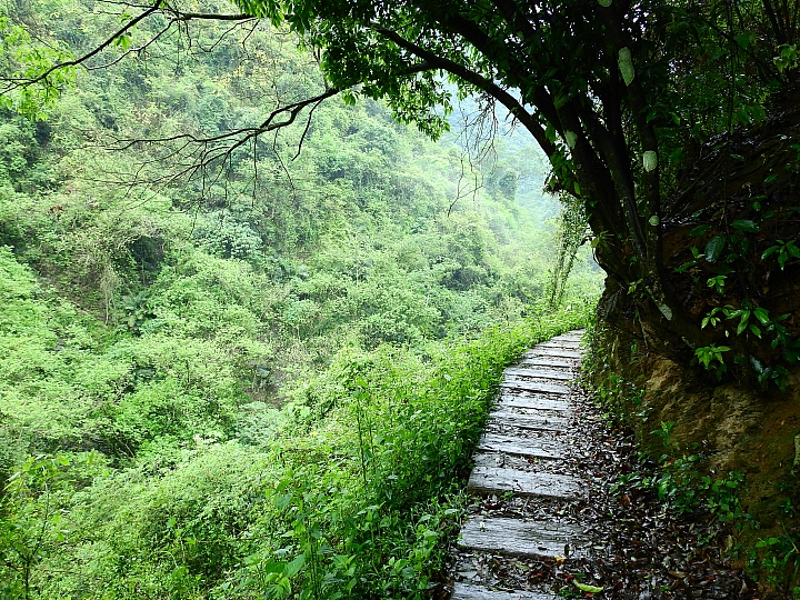 來涼山瀑布吧!油桐花兒開開正漂亮!