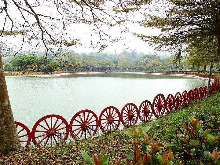 泰國櫻花花旗木,桃花陣雨綻放六龜天台山黃金寶殿。