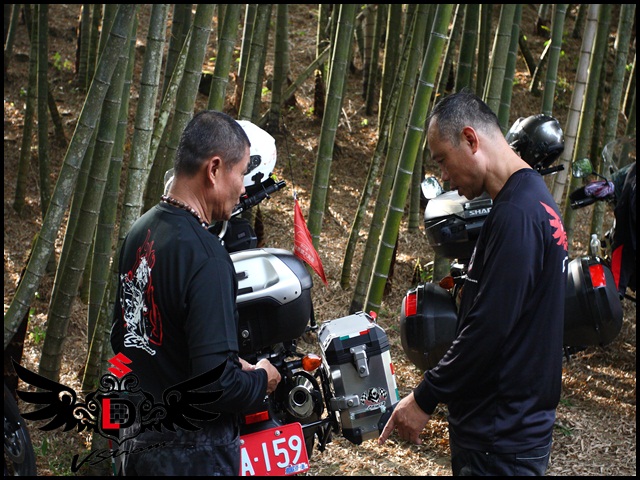 【DL揪跑團】阿里山賞螢火蟲