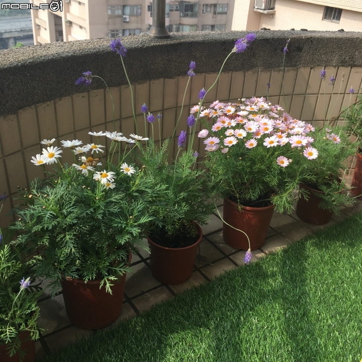 【開箱】30坪的軟爛秘密基地