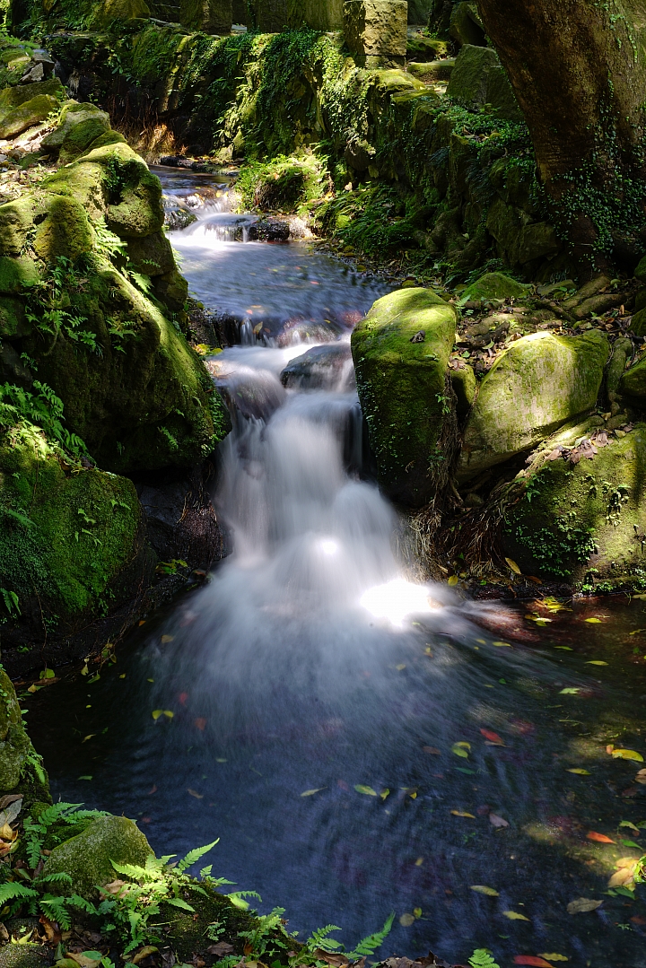 FE首顆平價大光圈鏡頭登場‧Sony FE 50mm f/1.8