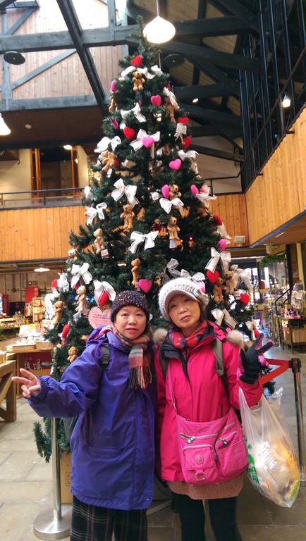 【北海道。函館】市電悠遊一日遊。金森倉庫。龍馬館。東正教堂。明治館