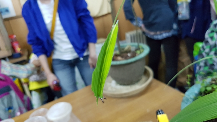 SAMSUNG Galaxy S7 夜拍