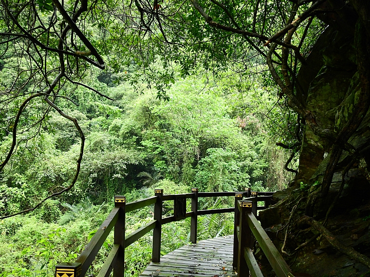 來涼山瀑布吧!油桐花兒開開正漂亮!