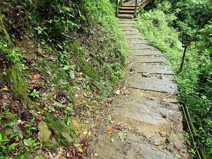 來涼山瀑布吧!油桐花兒開開正漂亮!