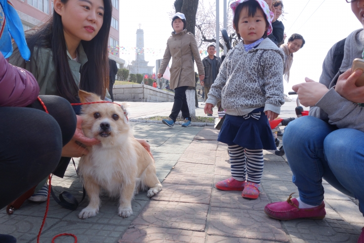 2016衝出封鎖線,北韓,平壤國際馬拉松,
