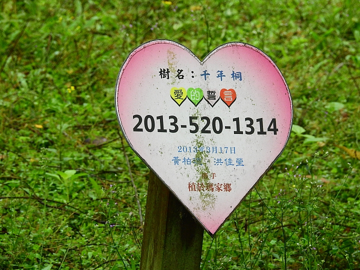 來涼山瀑布吧!油桐花兒開開正漂亮!
