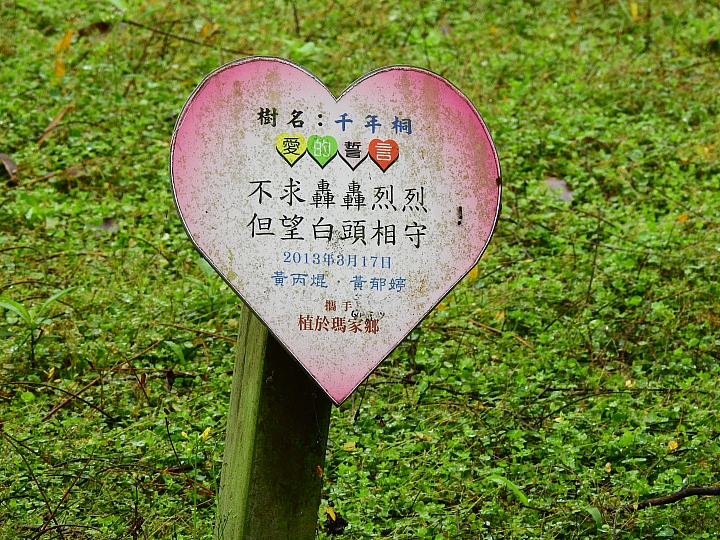 來涼山瀑布吧!油桐花兒開開正漂亮!