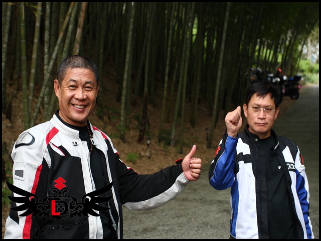 【DL揪跑團】阿里山賞螢火蟲