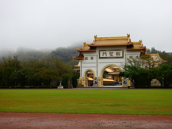 泰國櫻花花旗木,桃花陣雨綻放六龜天台山黃金寶殿。