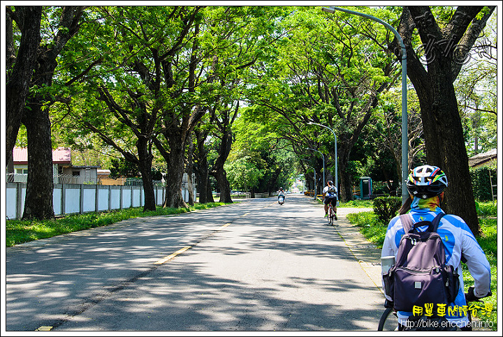 [Eric的單車日記] 北高雄的燦爛時光