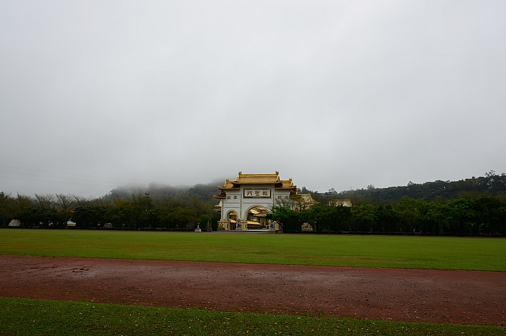 泰國櫻花花旗木,桃花陣雨綻放六龜天台山黃金寶殿。
