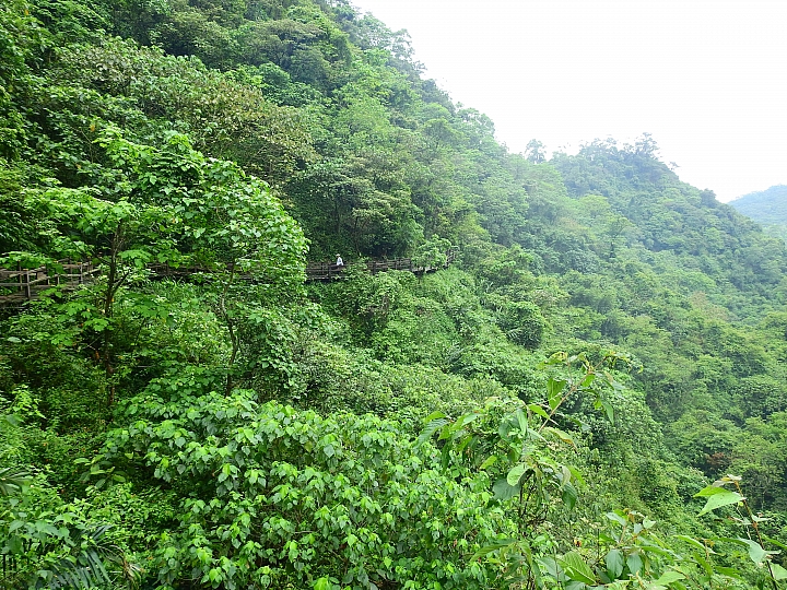 來涼山瀑布吧!油桐花兒開開正漂亮!