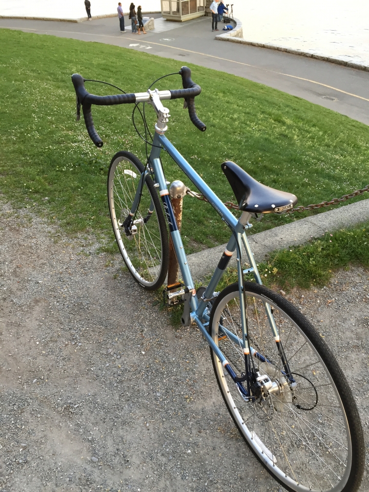 Raleigh Clubman Disc 2016