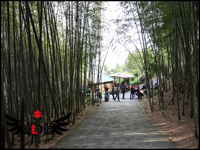 【DL揪跑團】阿里山賞螢火蟲
