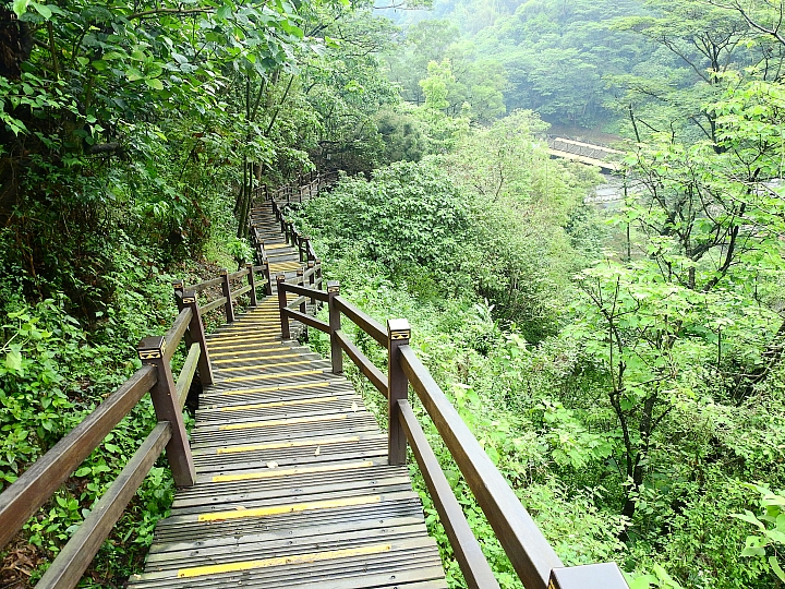 來涼山瀑布吧!油桐花兒開開正漂亮!