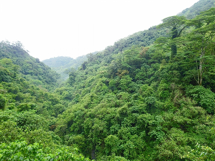 來涼山瀑布吧!油桐花兒開開正漂亮!