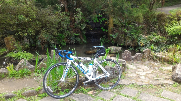 VELO Angel座墊開箱文