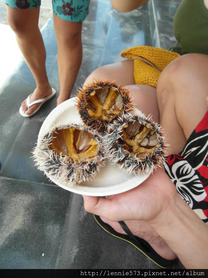 澎湖*馬公_食(食物處理機)