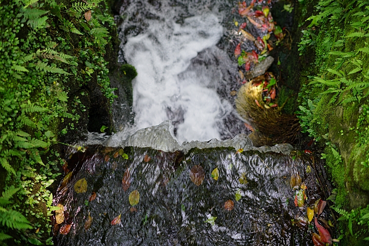 FE首顆平價大光圈鏡頭登場‧Sony FE 50mm f/1.8