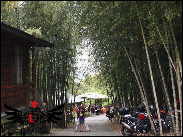 【DL揪跑團】阿里山賞螢火蟲