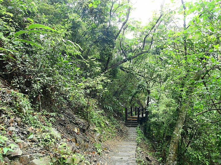 來涼山瀑布吧!油桐花兒開開正漂亮!