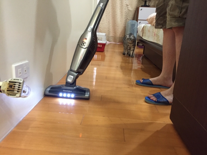 貓奴好幫手!伊萊克斯完美管家第四代無線吸塵器試用心得
