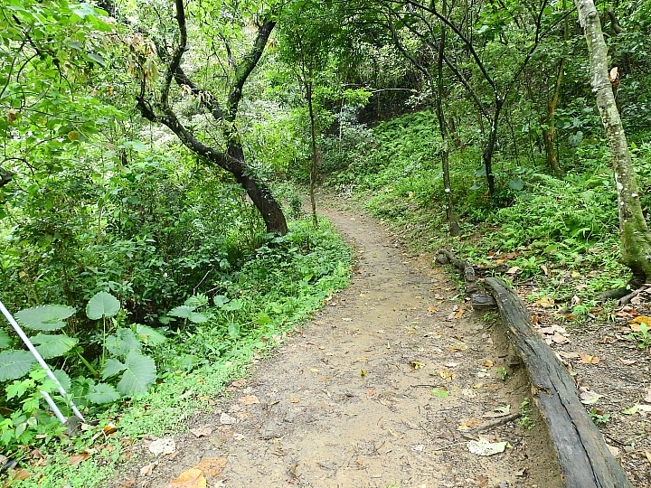 來涼山瀑布吧!油桐花兒開開正漂亮!