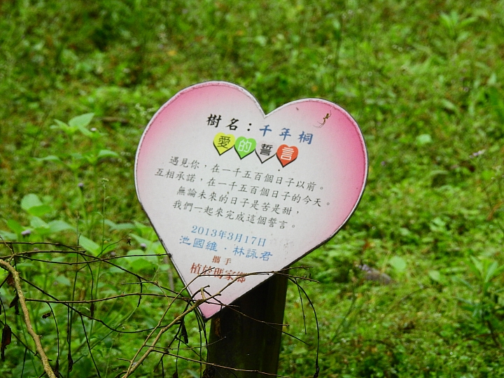 來涼山瀑布吧!油桐花兒開開正漂亮!