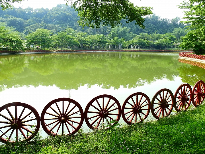 泰國櫻花花旗木,桃花陣雨綻放六龜天台山黃金寶殿。