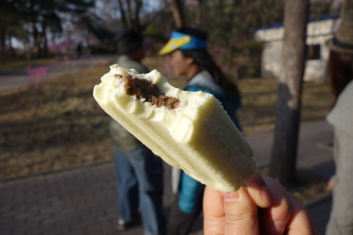 2016衝出封鎖線,北韓,平壤國際馬拉松,