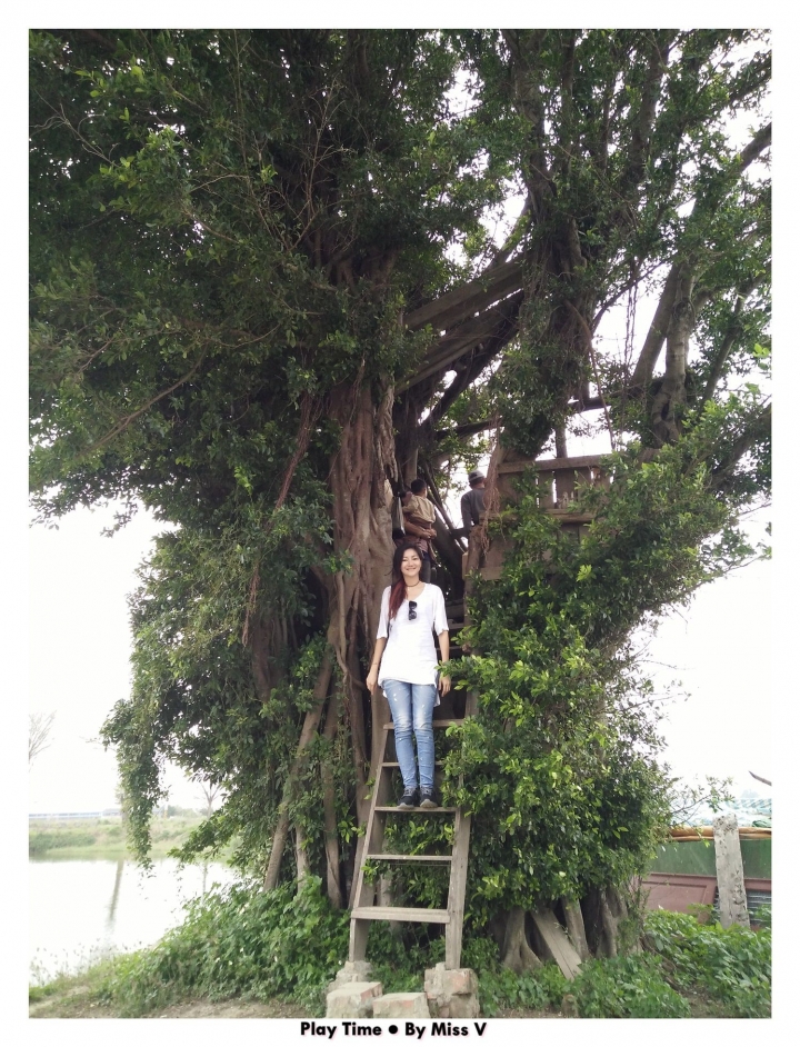 【台南∣私房景點】老塘湖藝術村&學甲蜀葵花海,開啟連假行程的學甲一日輕旅行!!