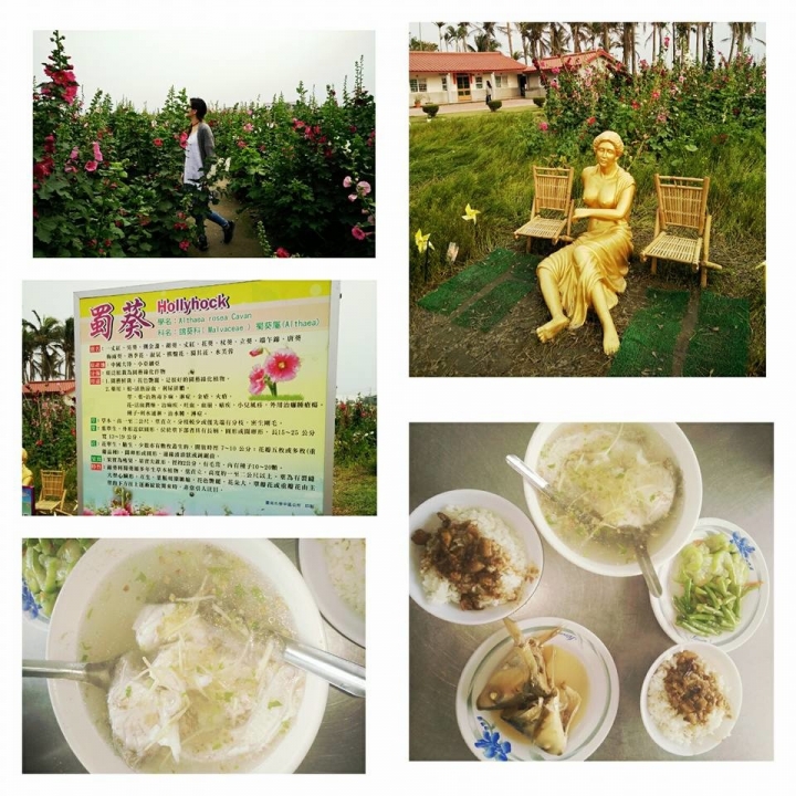 【台南∣私房景點】老塘湖藝術村&學甲蜀葵花海,開啟連假行程的學甲一日輕旅行!!