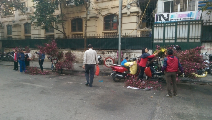 【越南河內Hanoi】越南也過農曆年Tet Festival