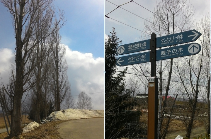日本雙鐵遊(鐵道+鐵馬),看櫻花+吃美食+泡溫泉+遇狐狸+賞雪景,一次搞定~