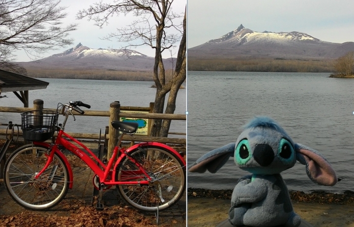 日本雙鐵遊(鐵道+鐵馬),看櫻花+吃美食+泡溫泉+遇狐狸+賞雪景,一次搞定~