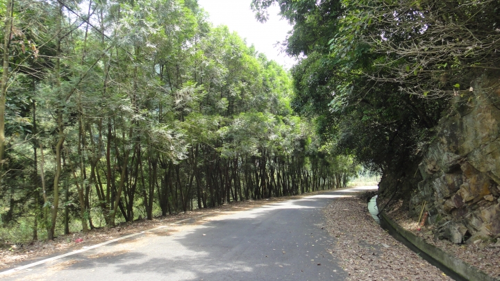 2016-05-07省道台14線全線加碼至屯原登山口(上)