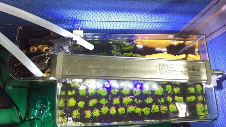 冷水機與外掛式過濾器