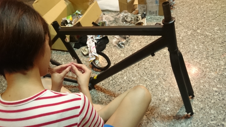 改造女友~不~改造二手單車