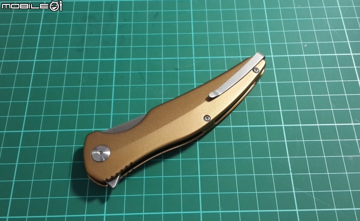 兩把flipper折刀分享 Brous Sniper & Spyderco Mamba