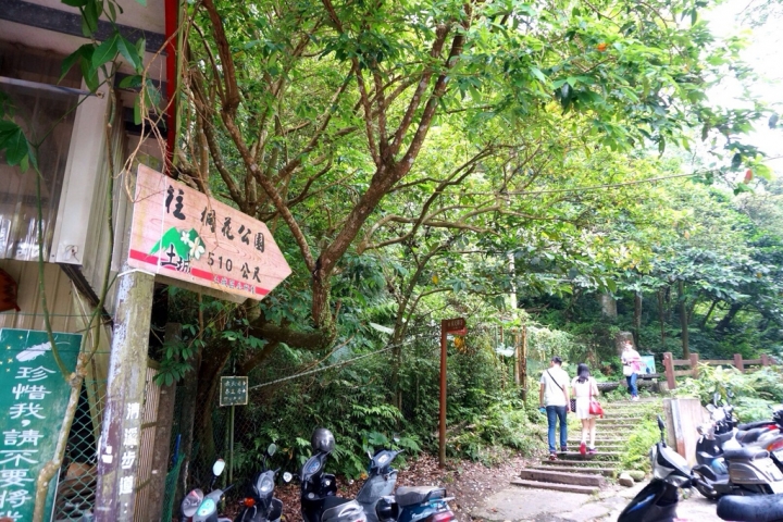 【新北】初次邂逅五月雪!土城承天禪寺、桐花公園賞桐花