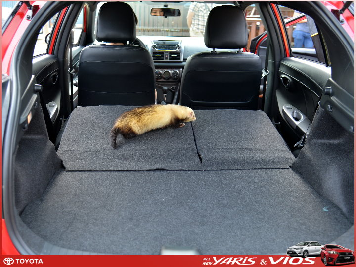 【體驗活動】TOYOTA All New VIOS & YARIS 全「心」動力大躍進 試駕活動
